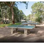 Le Bremontier - Residence Vacances - Proche Plage - Piscine - Parking Apartman *